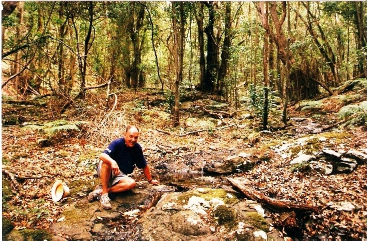 Casa Rural Finca La Maleza Agulo エクステリア 写真