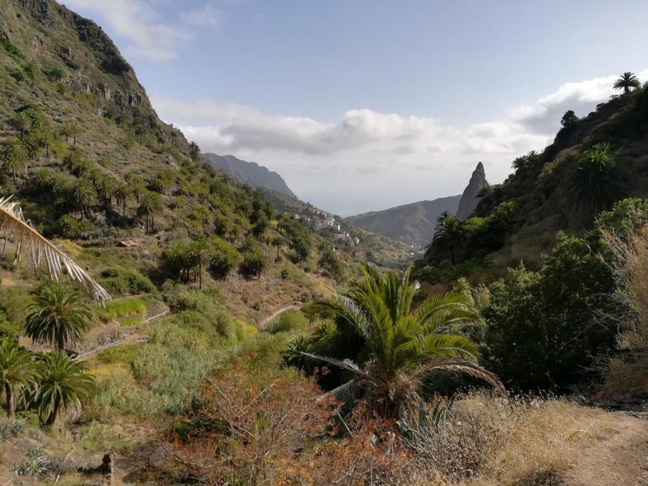 Casa Rural Finca La Maleza Agulo エクステリア 写真