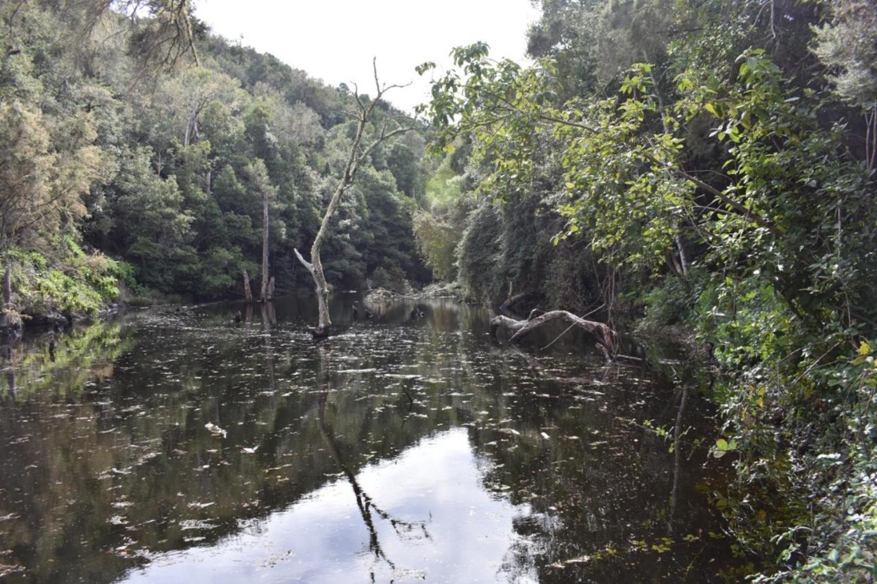 Casa Rural Finca La Maleza Agulo エクステリア 写真