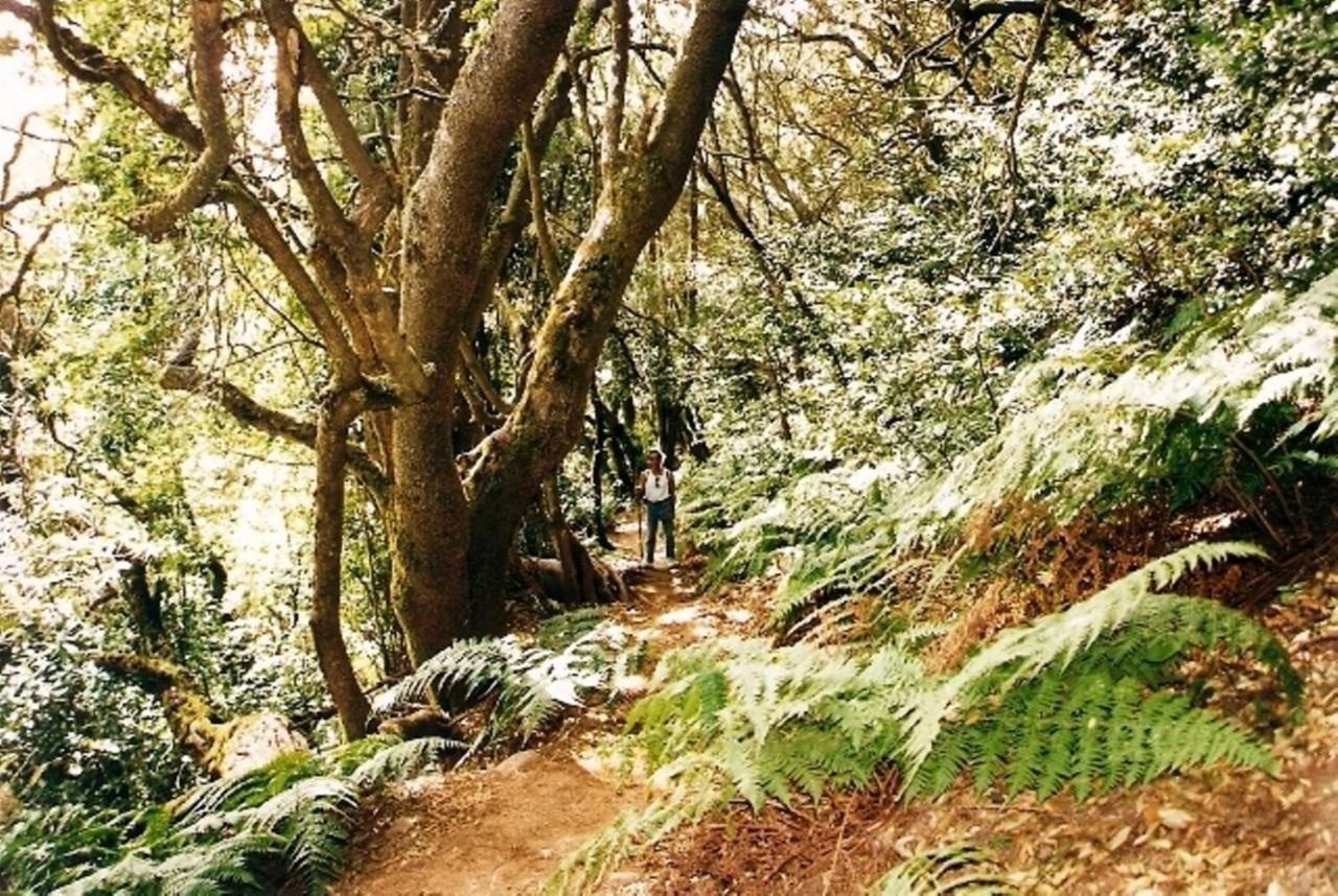 Casa Rural Finca La Maleza Agulo エクステリア 写真