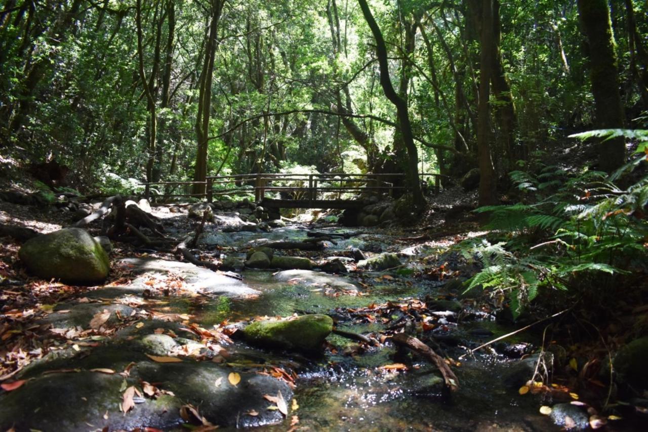 Casa Rural Finca La Maleza Agulo エクステリア 写真